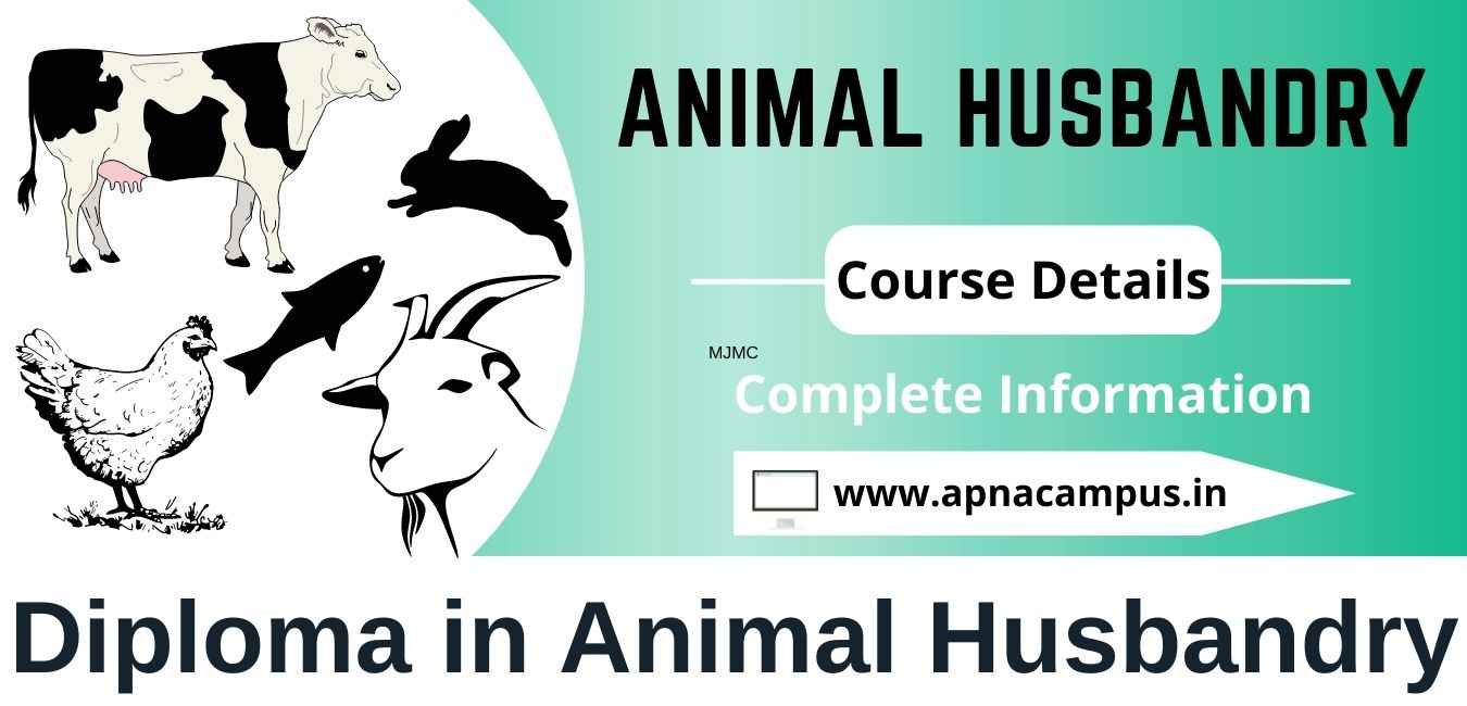 Diploma in Animal Husbandry - Full form, Course details, Salary,  Eligibility, Scope, Admission, Syllabus - apnacampus